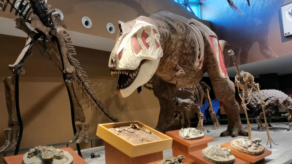 「上海自然博物馆」这个恐龙的互动装置真的很棒