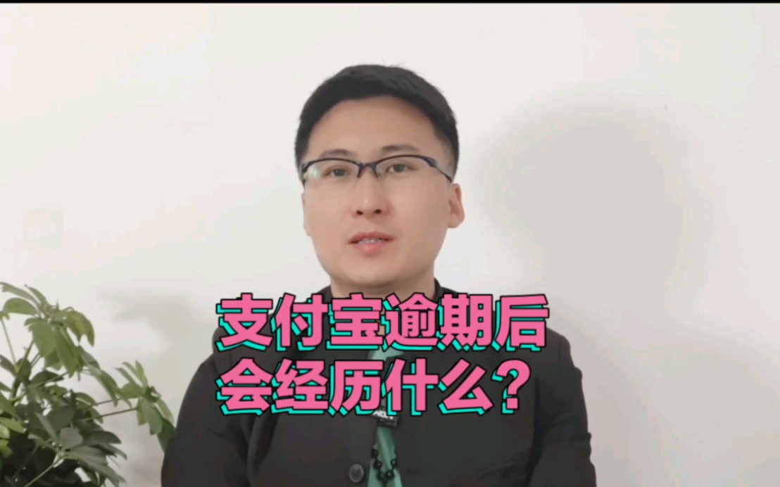 支付宝逾期后要面临什么哔哩哔哩bilibili