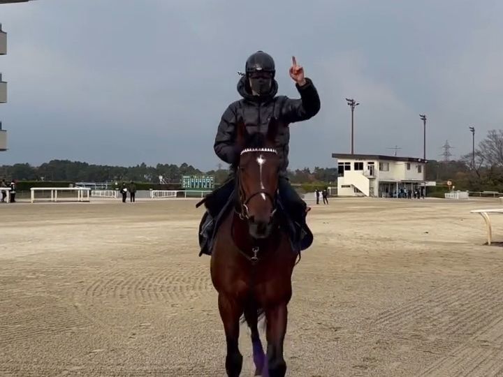 231207 今日的胜局在望/ドウデュース和家有喜事的前川助手哔哩哔哩bilibili