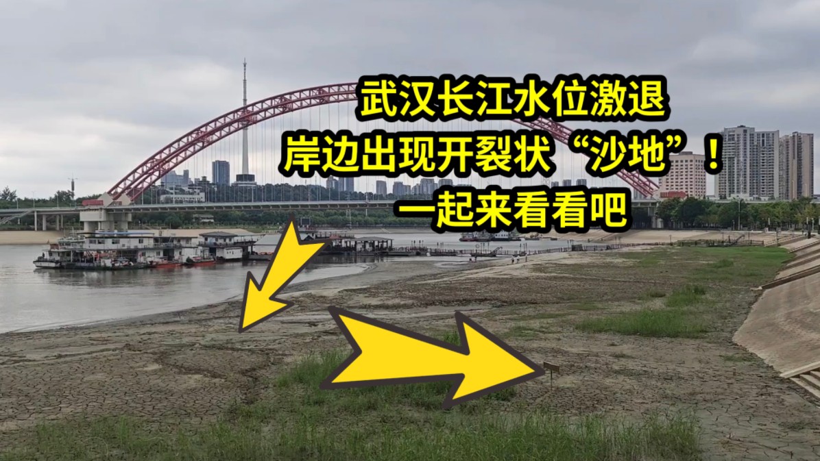 武汉长江水位激退,岸边出现开裂状"沙地"!一起来看看吧