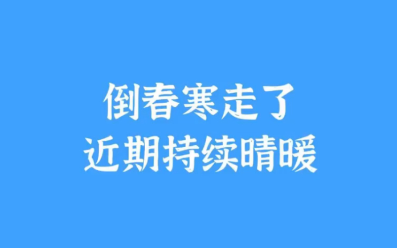 倒春寒今天结束了,近期上海持续晴暖哔哩哔哩bilibili