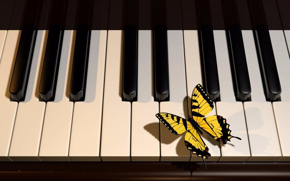 钢琴独奏优美的飞起来的钢琴曲butterflywaltz蝴蝶华尔兹