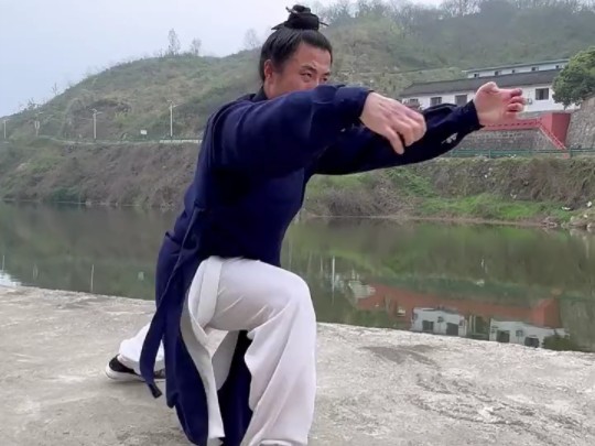 武当龙华拳 动如奔雷 静如潜鱼 闪转腾移 如龙在天.