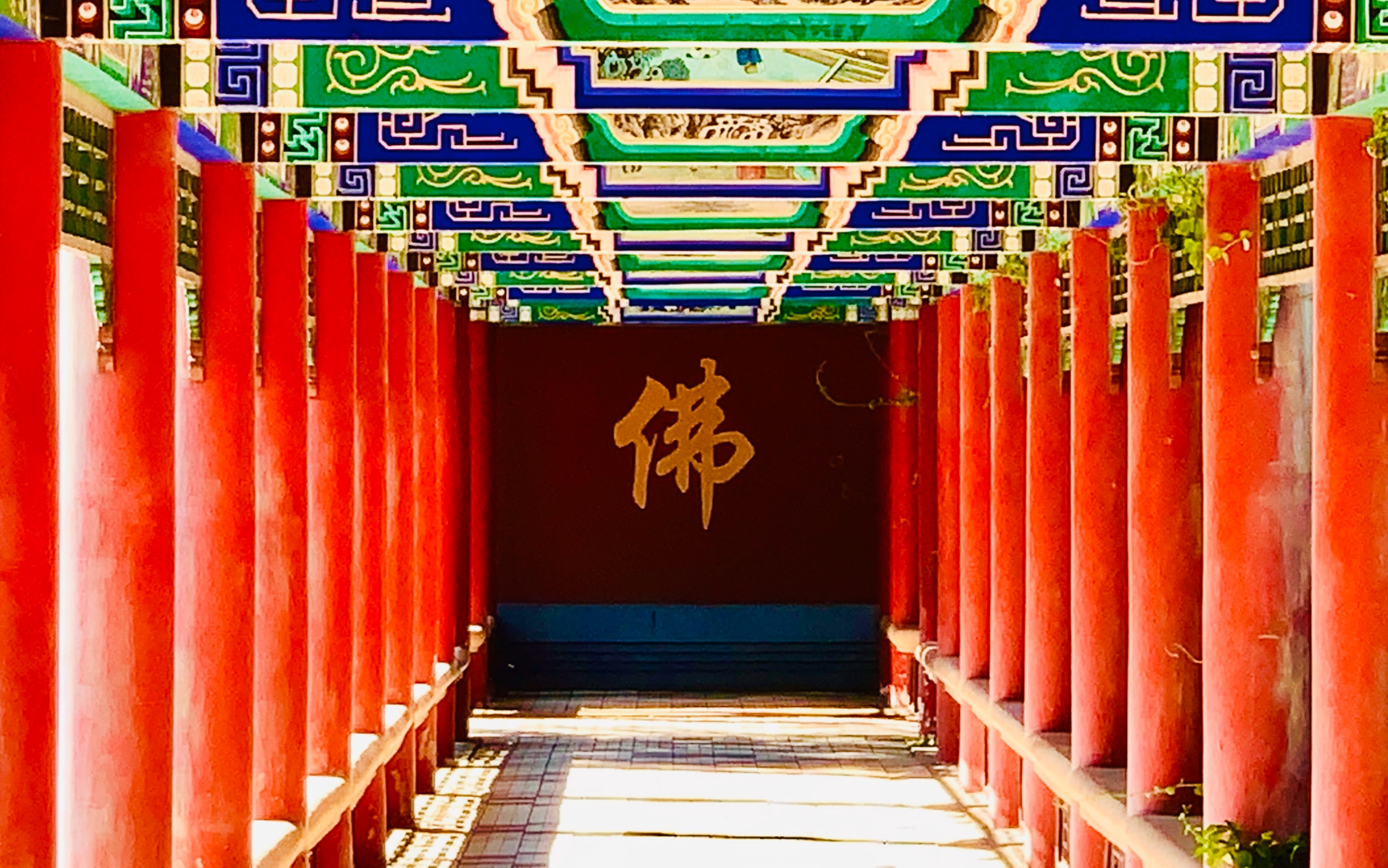 今天农历六月初一来到佳木斯佛光寺愿天佑人间