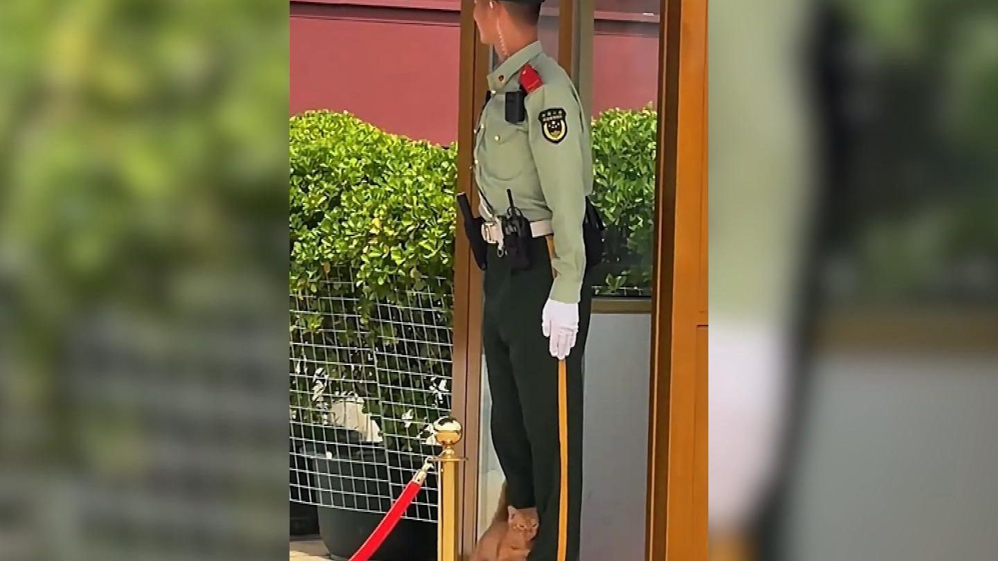 小猫，你是怎么认识武警哥哥的？