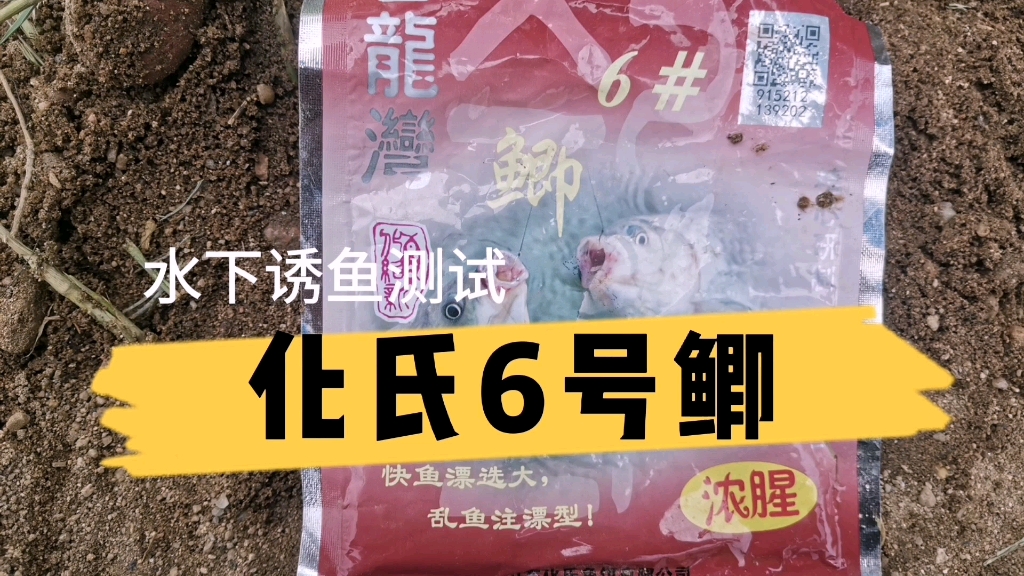 化氏6号鲫水下诱鱼测试 了解饵料才能更好的使用哔哩哔哩bilibili