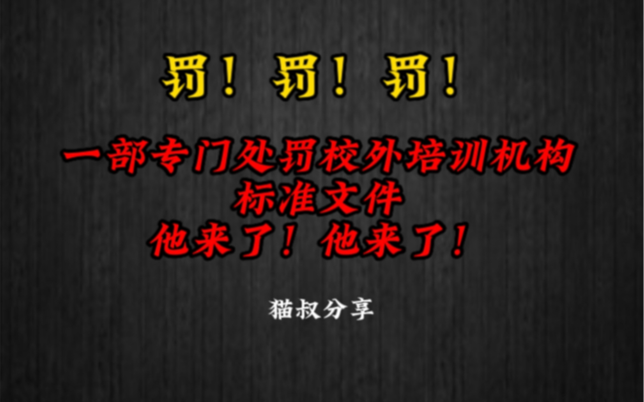 猫叔首发解读:罚罚罚!针对全部校外培训机构的处罚文件公布!做培训机构的校长请注意!哔哩哔哩bilibili