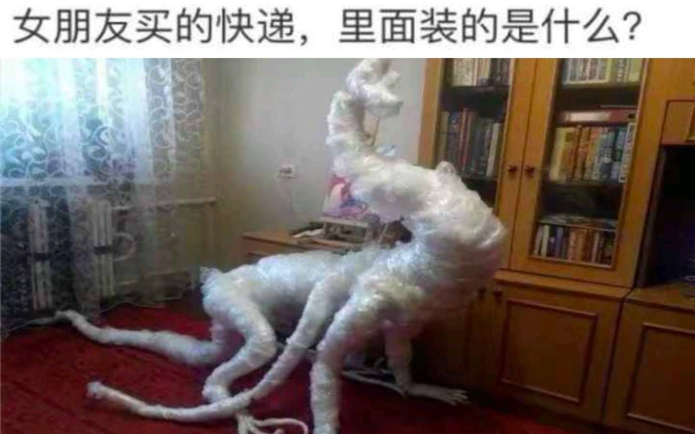 女朋友买的快递里面装的是什么ﾟ𐴯𞟻)网络上那些爆笑的沙雕图(`・ƒ𛂴)|第439期哔哩哔哩bilibili