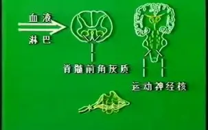 Download Video: [古早医学物料]-- 破伤风 白求恩医科大学-1984年