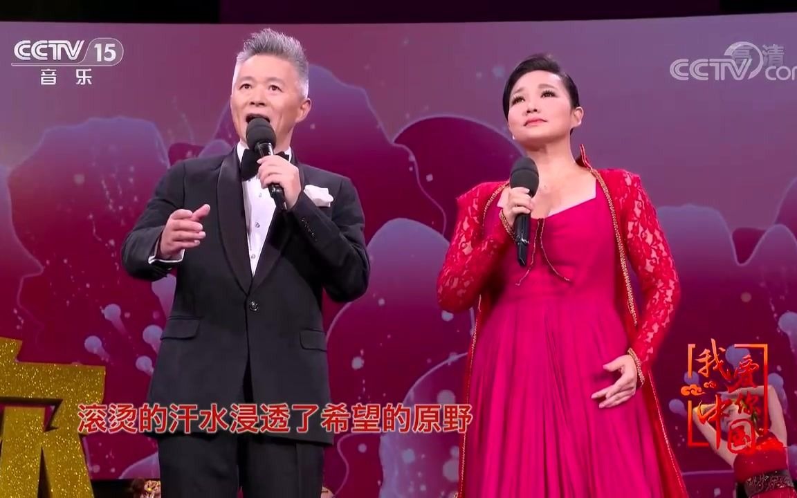 歌曲《这条路》演唱:王莉王宏伟哔哩哔哩bilibili