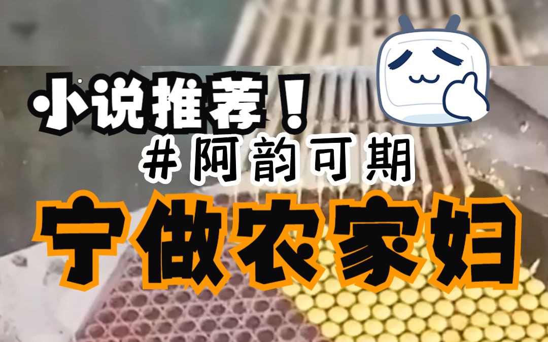 【小说推荐】《阿韵可期》宁做农家妇,不做权贵妾!哔哩哔哩bilibili