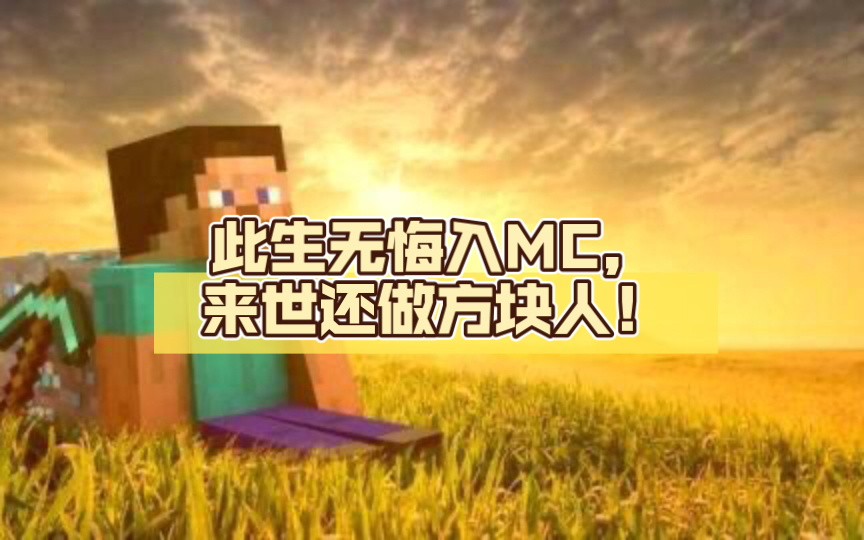 [图]此生无悔入MC，来世还做方块人！（一定要看到最后）