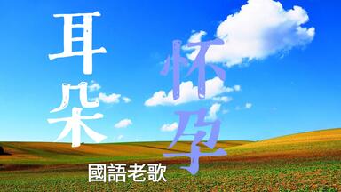 01黄乙玲-瓮底歌系列《难忘的情歌》6CD [WAV+CUE]-1_哔哩哔哩_bilibili
