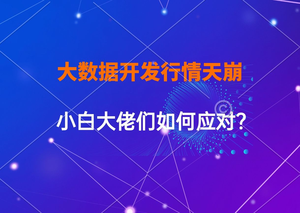 2024年大数据开发行情天崩开局能有多差?小白和大佬都如何应对!哔哩哔哩bilibili