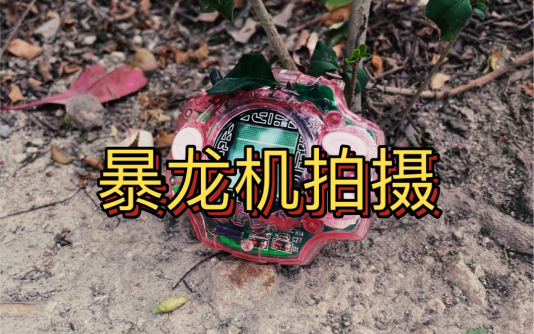 数码宝贝暴龙机拍摄电子宠物粉波