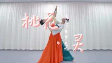 桃花流水窅然去-哔哩哔哩_Bilibili
