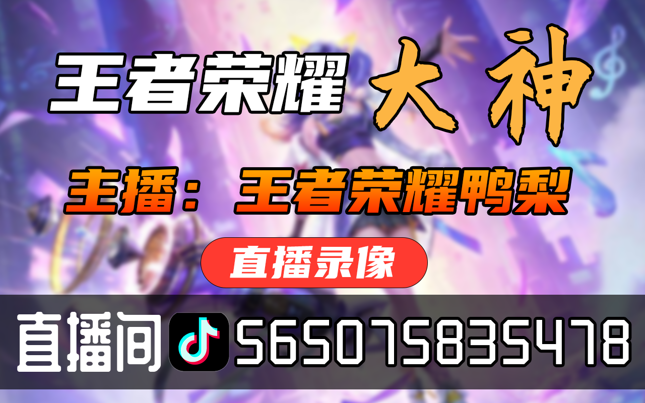 【接录制】王者荣耀鸭梨 20241112直播录像|直播回放|录播  二万五孙尚香冲巅峰电子竞技热门视频