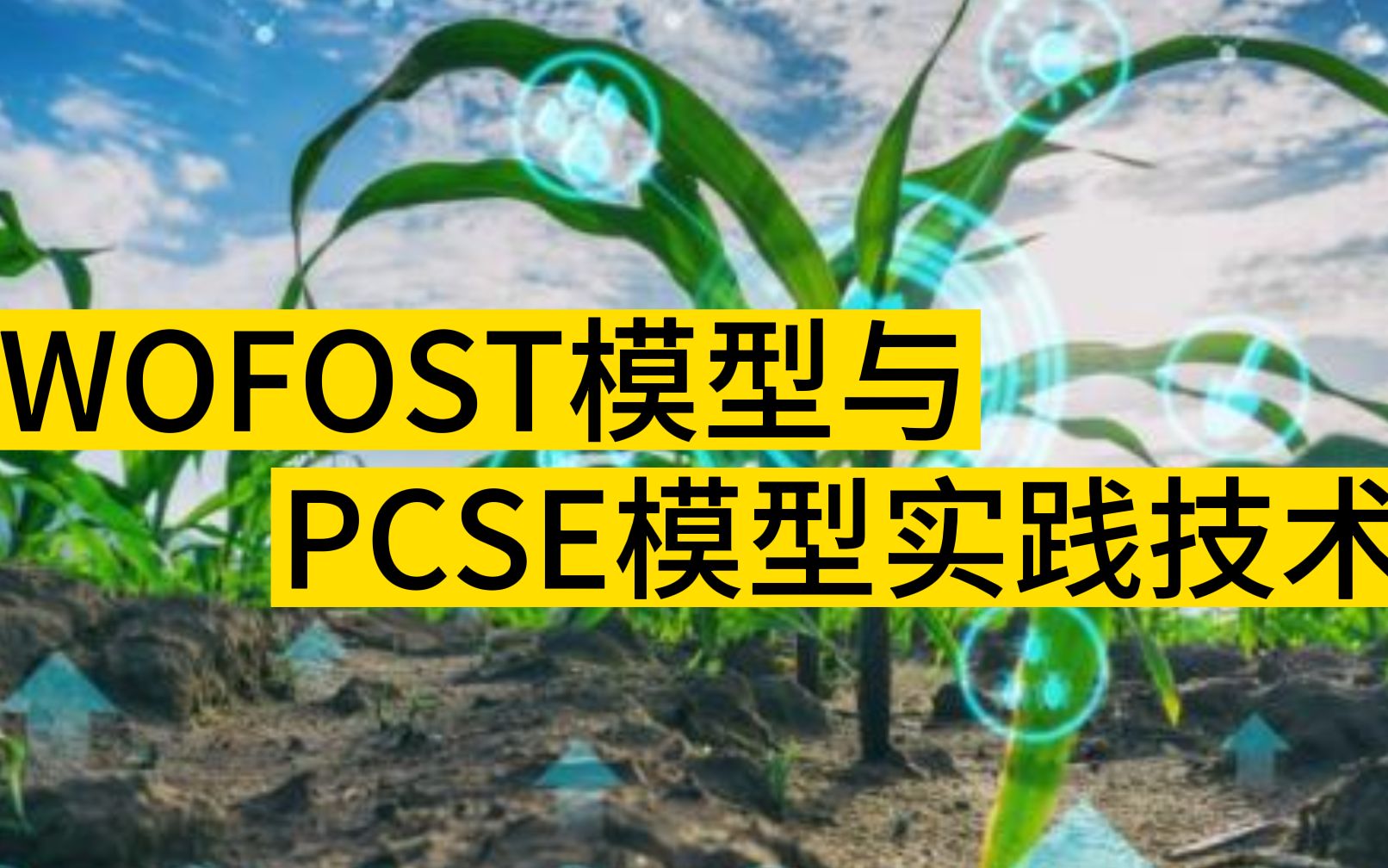 WOFOST模型与PCSE模型实践技术、物候发育哔哩哔哩bilibili