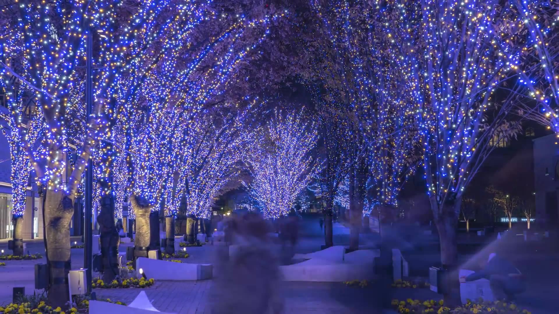 [图]【延时】这是一个可以拿来当桌面的视频 城市之光City of Lights 2018