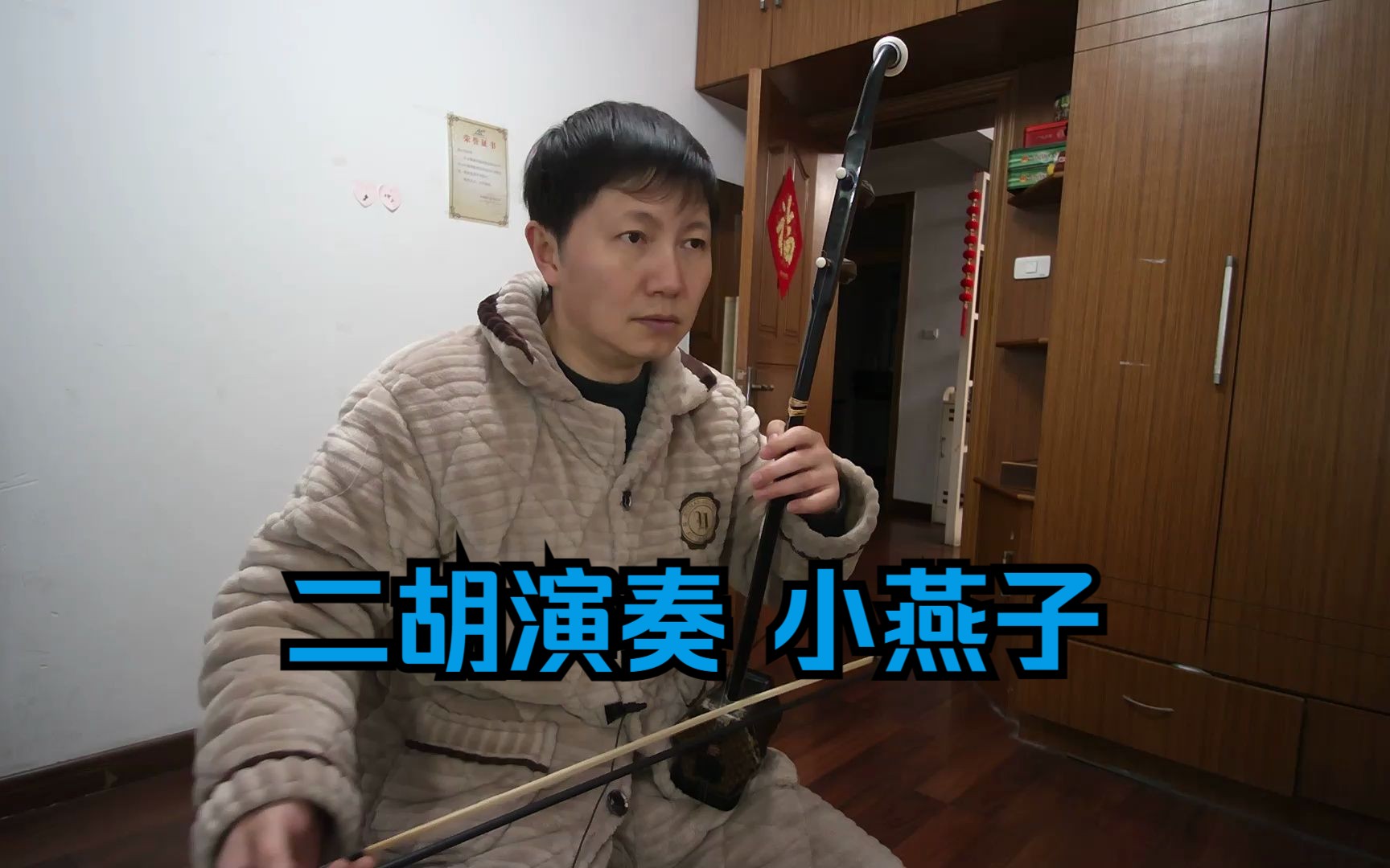 二胡演奏 小燕子