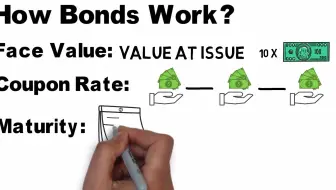 Everything You NEED to Know About Bonds| 您需要了解的有关债券的一切