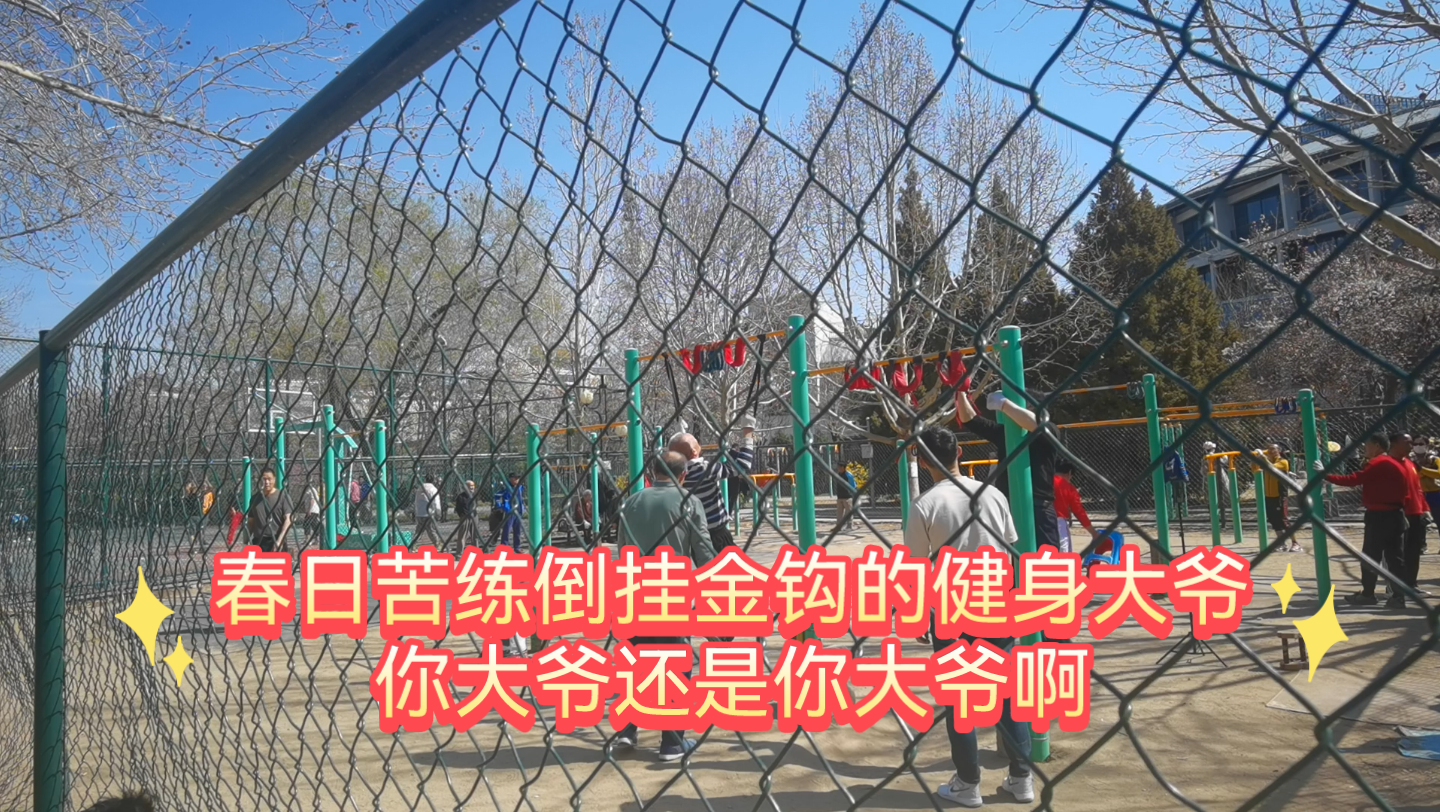 苦练倒挂金钩的莲花池单杠大爷