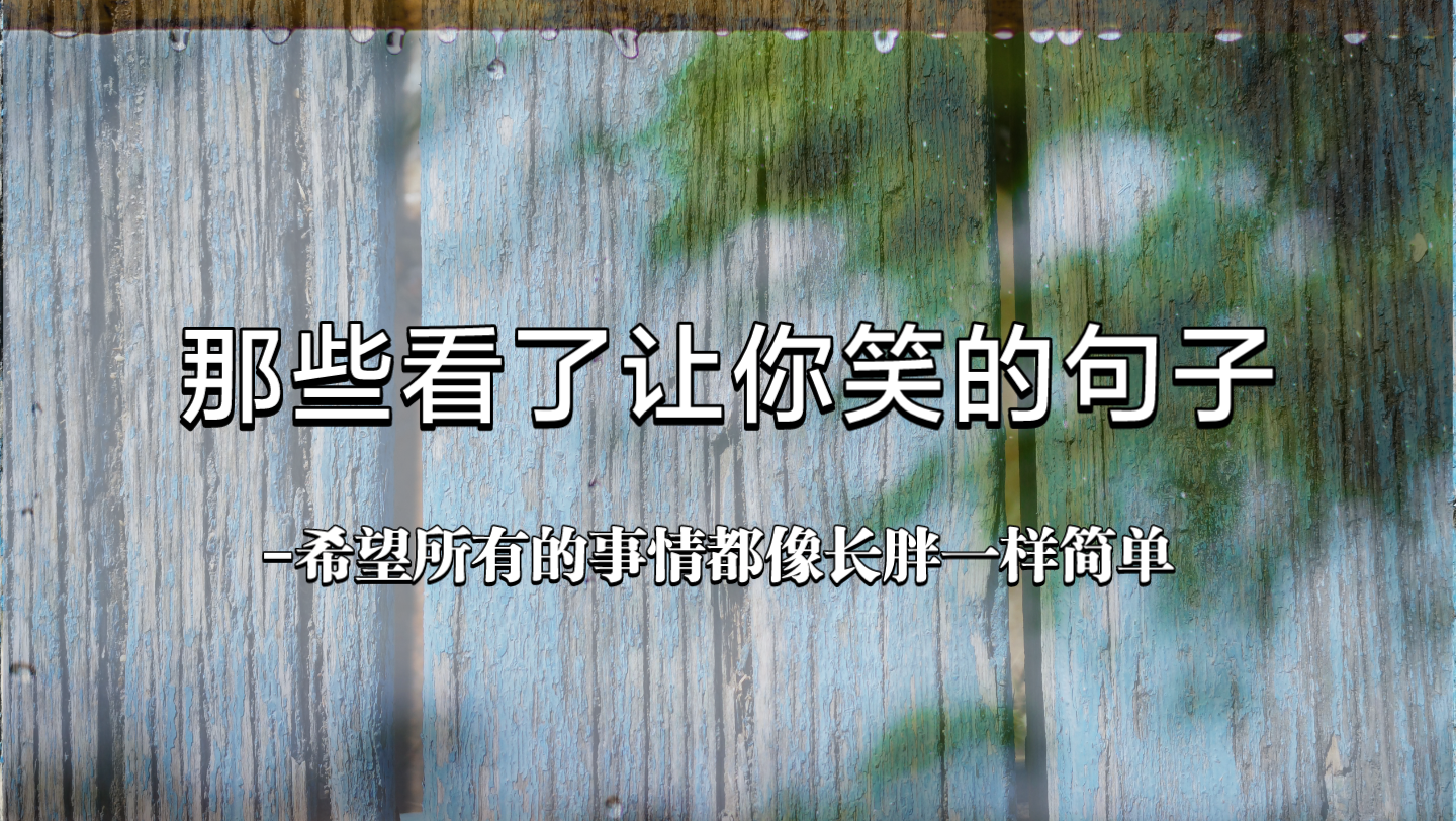 【摘录|幽默诙谐】希望所有的事情都像长胖一样简单|那些看了让你笑的句子哔哩哔哩bilibili