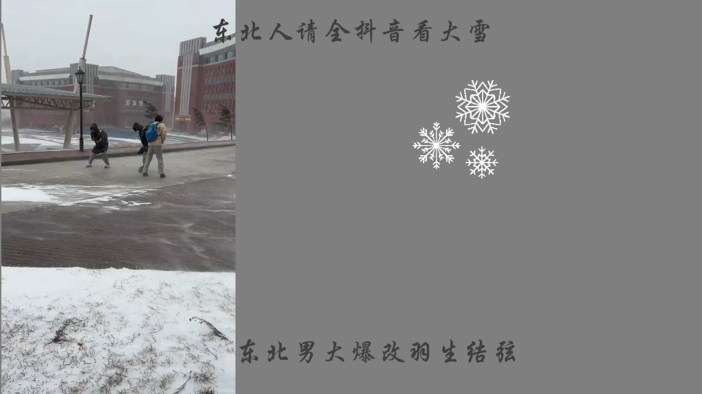 [图]东北下大雪有多好玩！！！