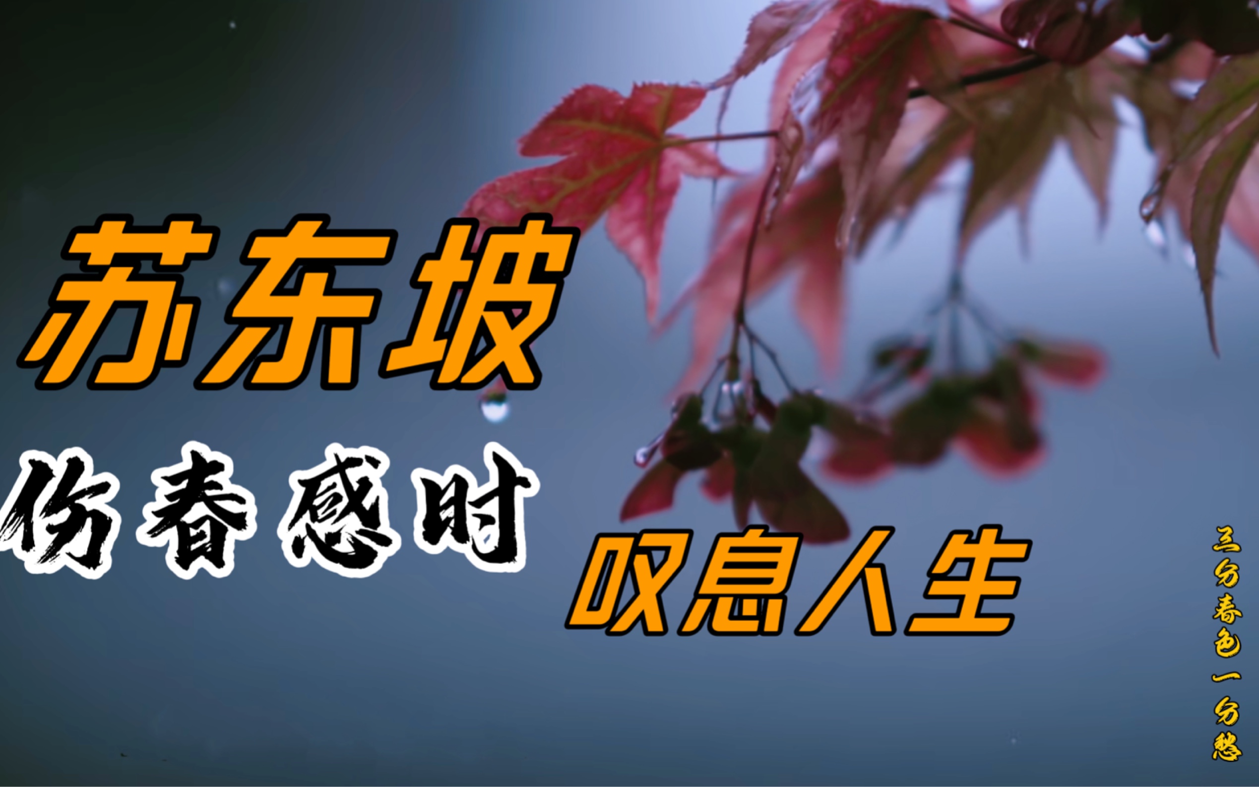 苏东坡伤春感时,叹息人生:三分春色一分愁哔哩哔哩bilibili