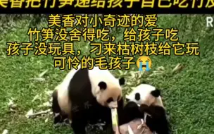 下载视频: 美香护着小奇迹的种种举动看哭多少人，美香已在尽全力照顾孩子，该怎么帮助苦难的美香、添添和小奇迹一家呀！它们是国宝，也是孩子啊！看完他们必须给自己减压