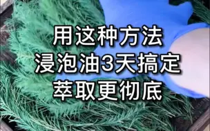 Download Video: 溶剂萃取法可以缩短植物浸泡油的时间，而且萃取更彻底