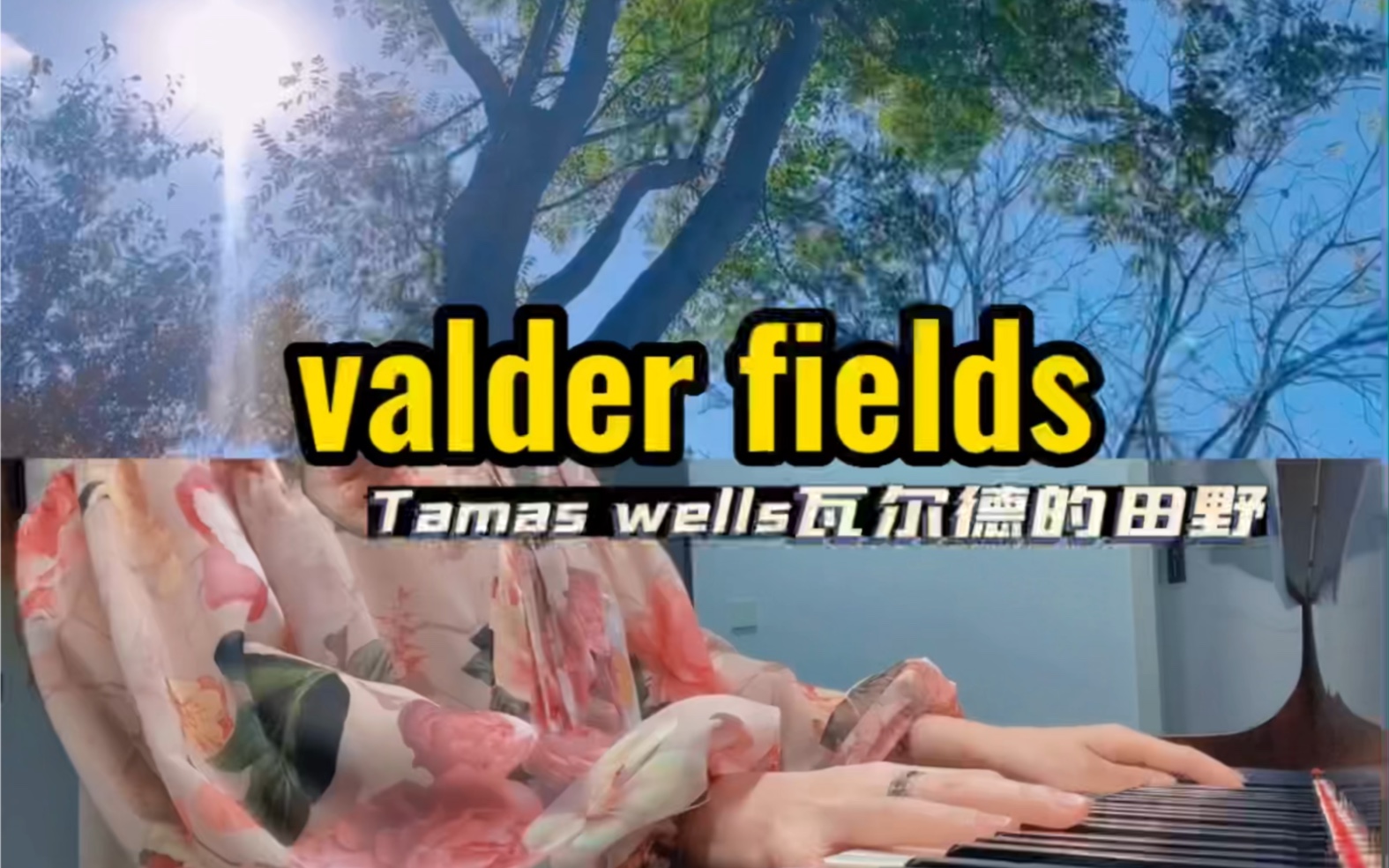 [图]Valder fields 瓦尔德的田野浦东分野