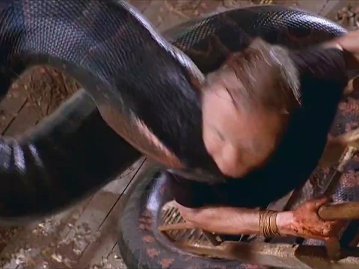 回顾经典第一部狂蟒之灾