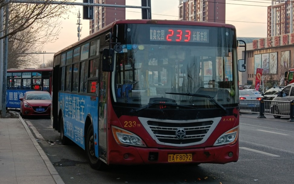 长春公交233路图片