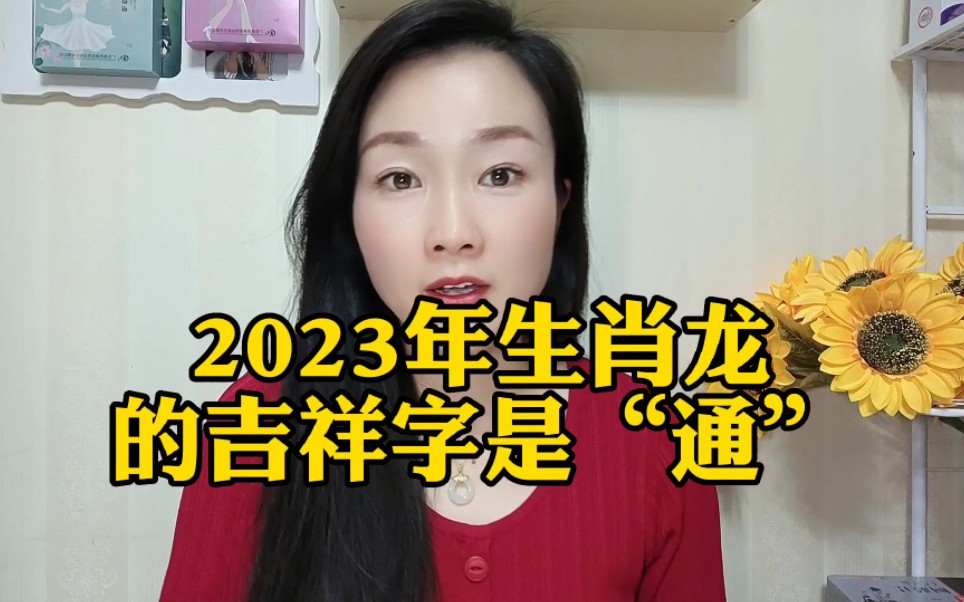 2023年生肖龙的吉祥字是 通哔哩哔哩bilibili