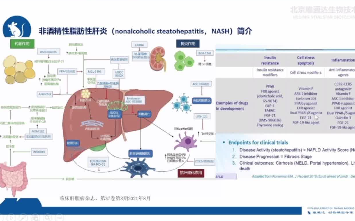 20220223-维通达模型服务部杨炜峰-dio和nash常用模型的选择要点,代谢