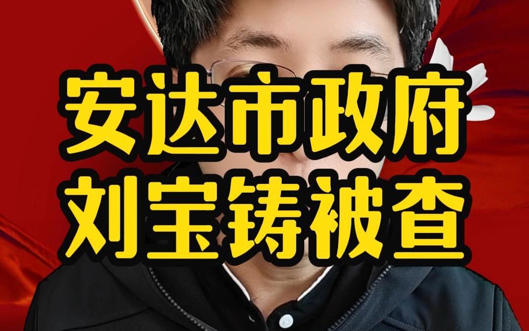 安达市政府刘宝铸被查哔哩哔哩bilibili