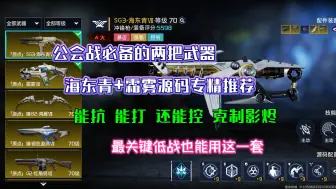 Download Video: 【星球重启】79级公会战必备的两把武器源码专精推荐，能抗能打还能控且适合低战