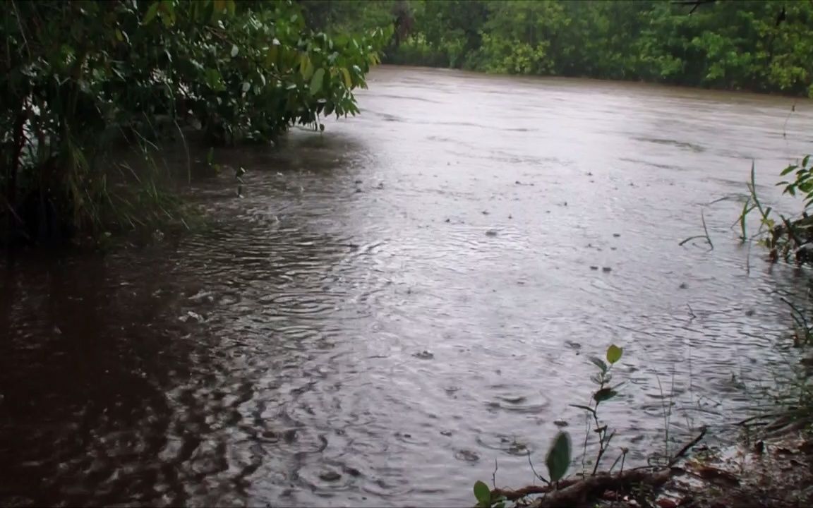 [图]我喜欢河水流淌的声音和雨滴落下的声音。我听着大自然的摇篮曲很快就睡着了。