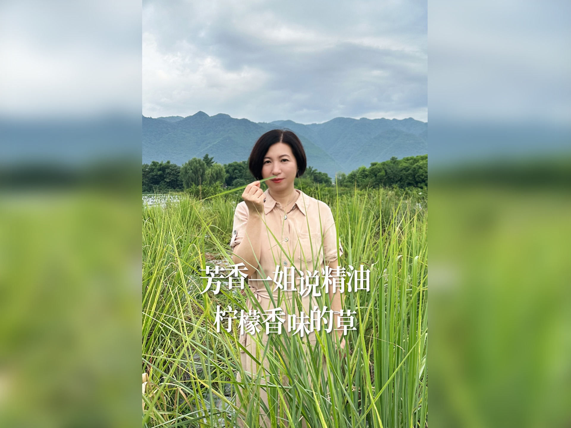 芳香一姐说精油&柠檬香味的草哔哩哔哩bilibili