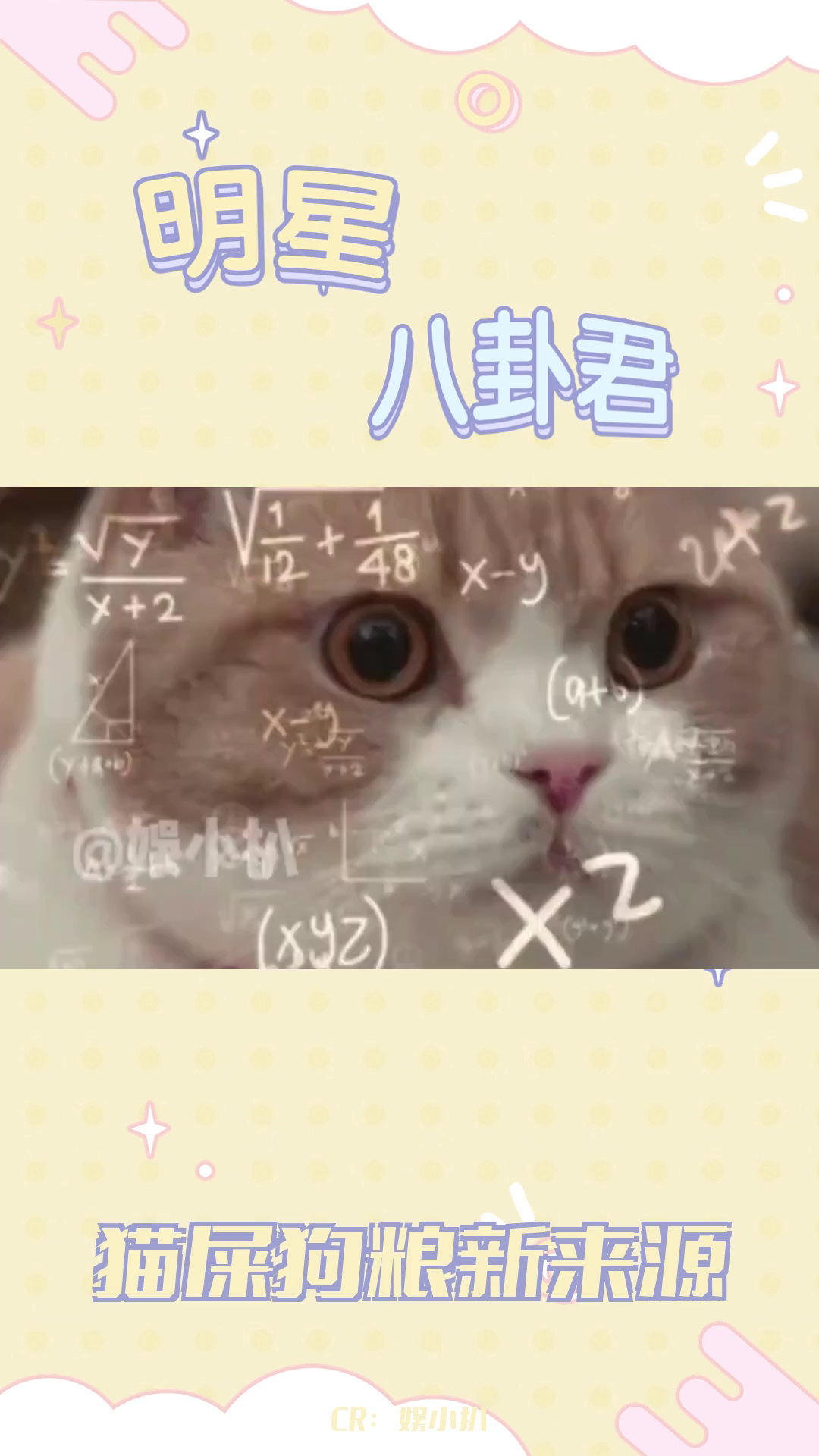 猫咪便秘之谜:狗子嘴下的“开塞露”哔哩哔哩bilibili