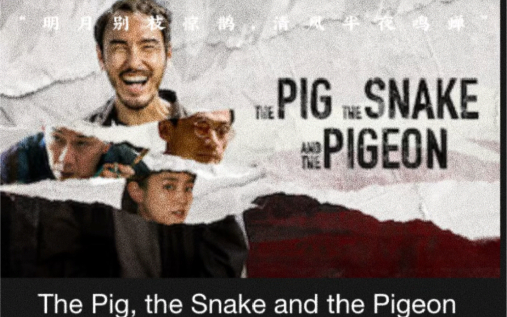 为什么《周处除三害》的英文名是The Pig, The Snake, and The Pigeon?哔哩哔哩bilibili