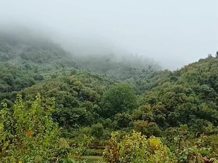 生态之乡湖北京山,大山里的风景就是这么美,雨中段冲村哔哩哔哩bilibili