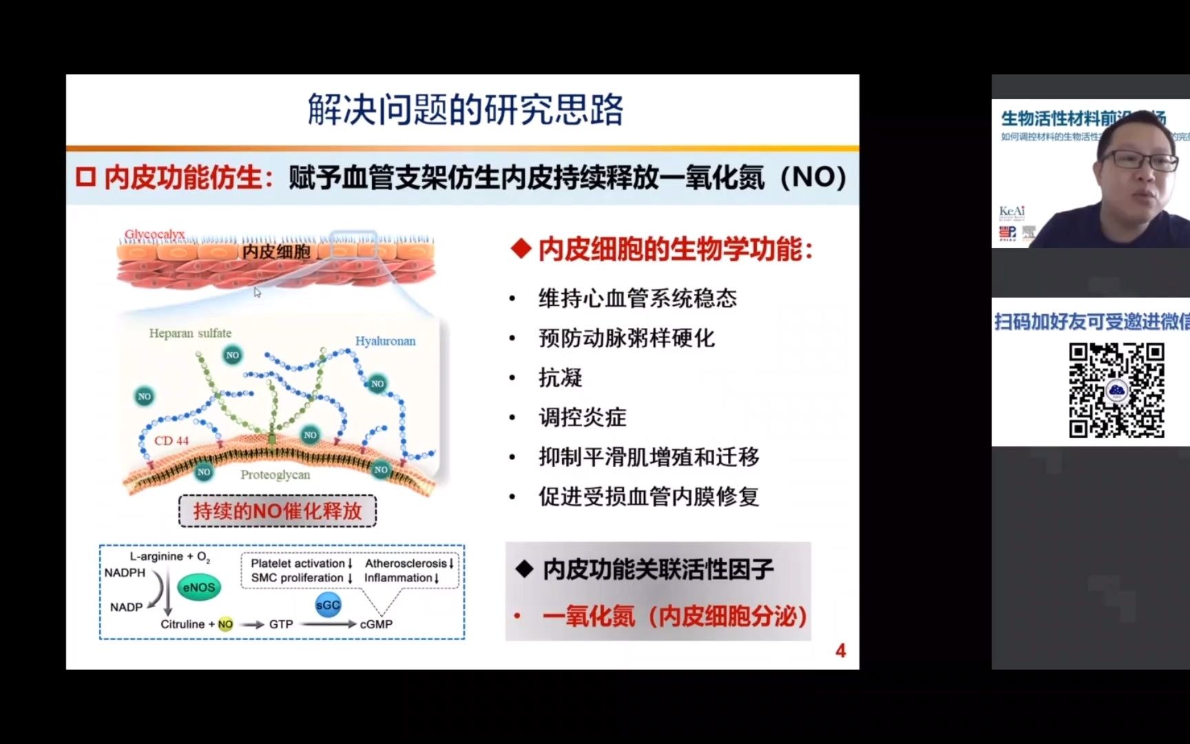 内皮血管仿生stent的植入——杨志禄哔哩哔哩bilibili