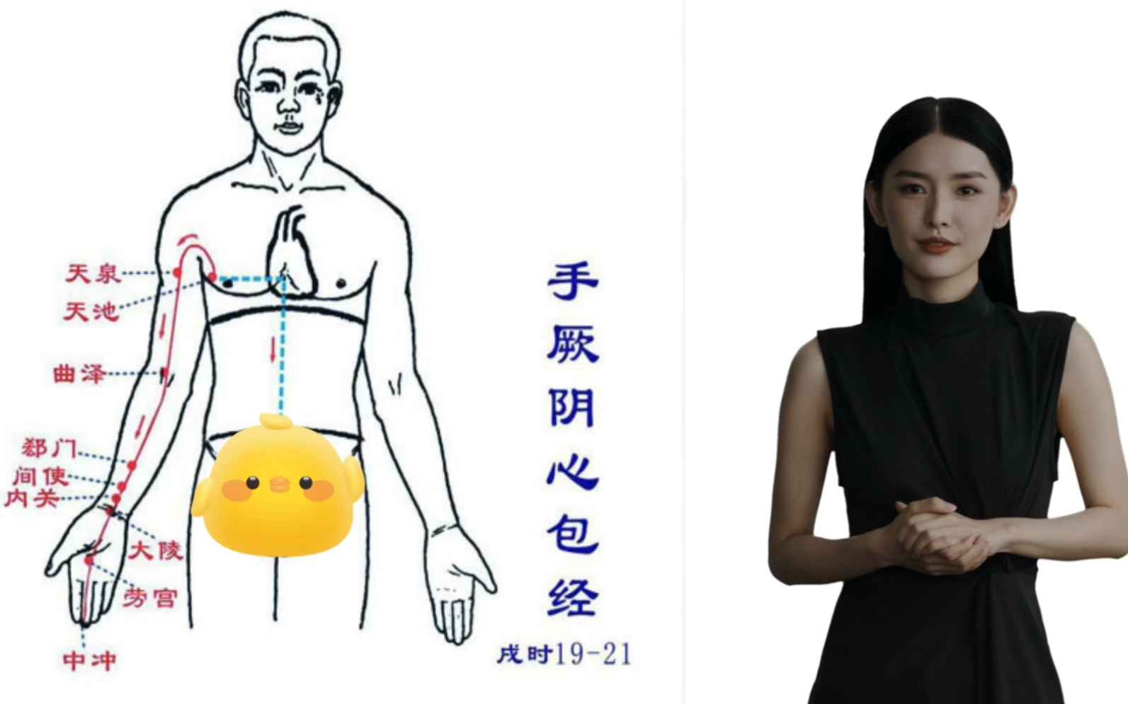 行医海外之手厥阴心包经