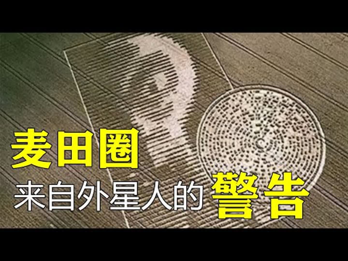 麦田圈形成|麦田怪圈其实是外星人给我们的重要警告?|麦田圈真相最详细揭秘未解之谜哔哩哔哩bilibili