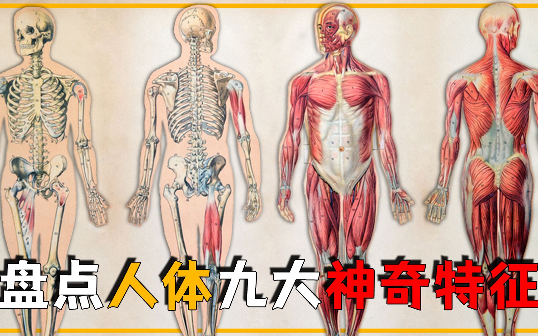 盘点人体神奇特征,瞬膜,睁着眼睛打喷嚏,人的血液中自带抗体