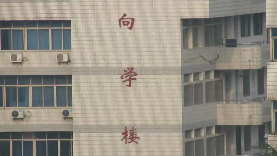 九江市虞家河乡中心小学虞家河乡敬老院濂溪区儿童福利院民政局虞家河乡政府虞家河乡派出所虞家河乡中学中小学生暑假学吉他高中毕业生吉他培...