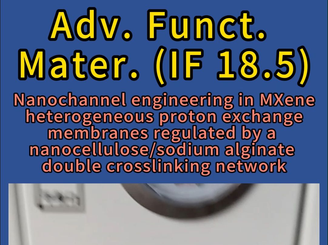 纳米纤维素海藻酸钠双交联网络调控的MXene异质质子交换膜中的纳米通道工程哔哩哔哩bilibili