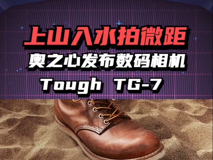 上山入水拍微距,奥之心数码相机Tough TG7 .哔哩哔哩bilibili